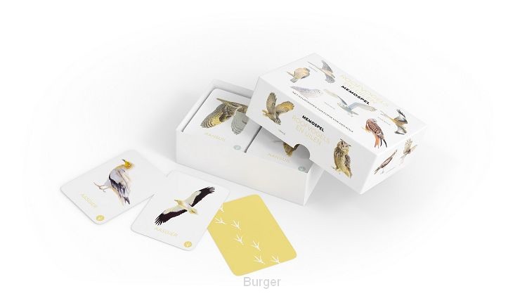 Roofvogels en Uilen memospel