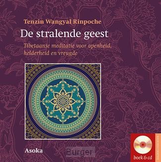 De stralende geest