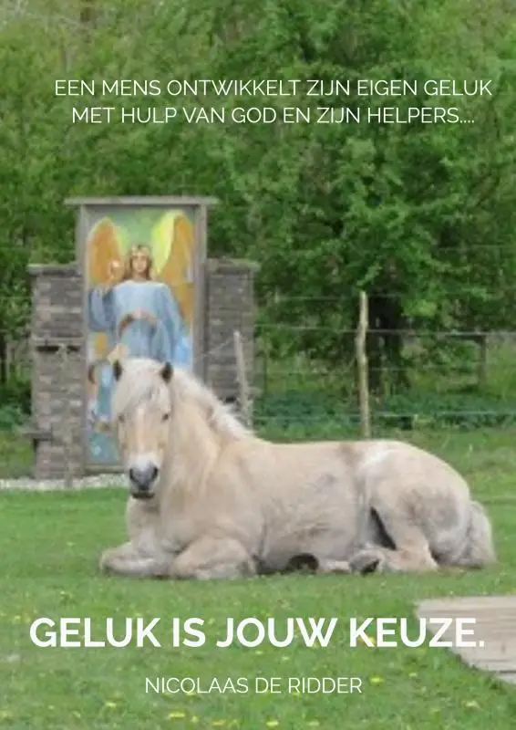 Geluk is een keuze