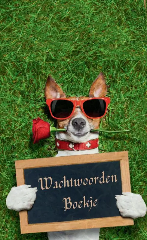 Wachtwoordenboekje met alfabet - Password Organizer - Wachtwoorden notitieboek