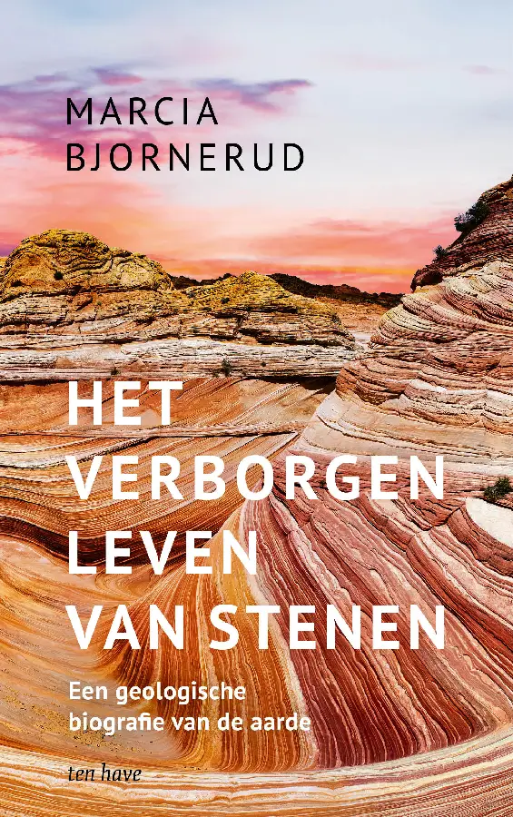 Het verborgen leven van stenen