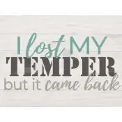 I lost my temper but it came back