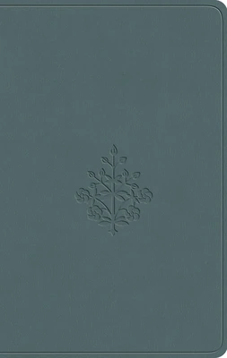 ESV - Value Compact Bible