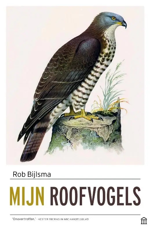 Mijn roofvogels