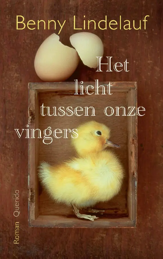 Het licht tussen onze vingers