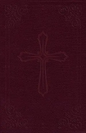 NIV - Compact Bible