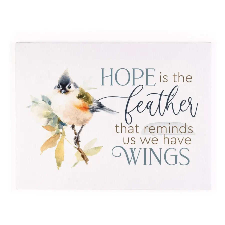 Hope Is The Feather That Reminds Us