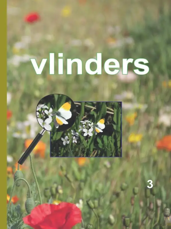 Vlinders