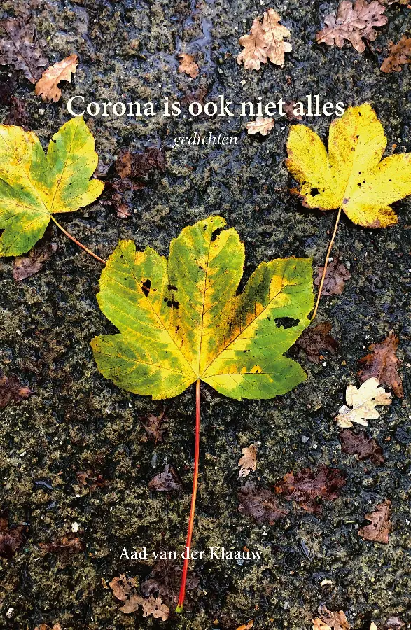 Corona is ook niet alles