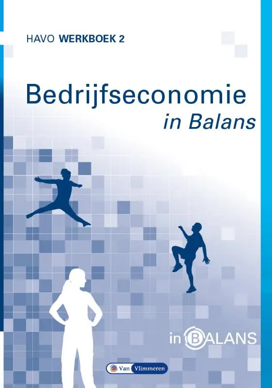 havo / Bedrijfseconomie in Balans / werkboek 2
