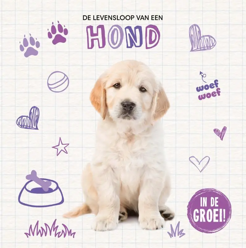 Hond