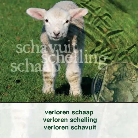 Verloren schaap schelling schavuit