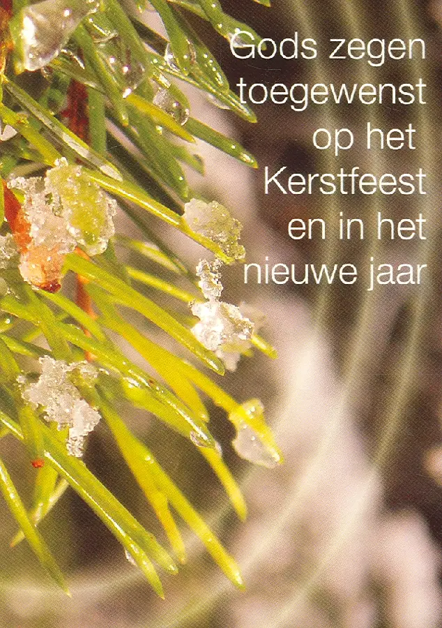 Ek kerst ass zt dennentakken