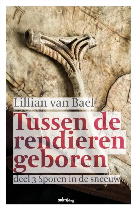 Sporen in de sneeuw