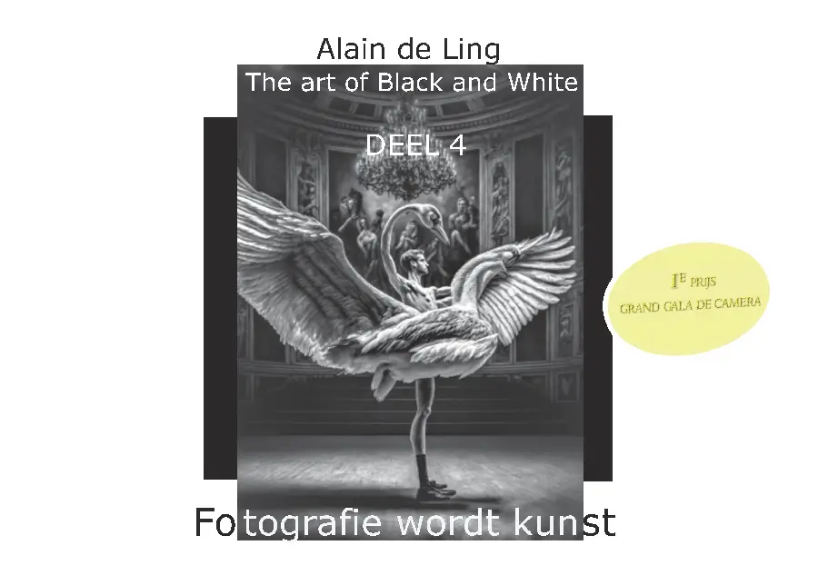 The Art of Black and White / 4