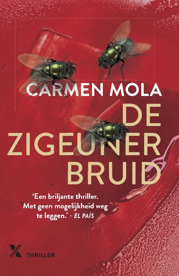De zigeunerbruid
