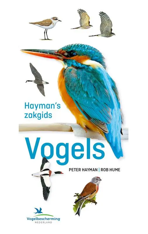 Hayman's zakgids vogels
