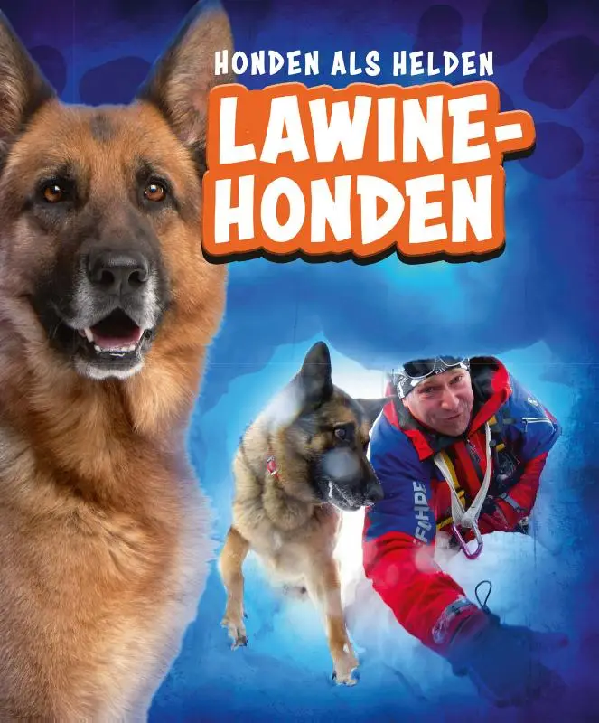 Lawinehonden