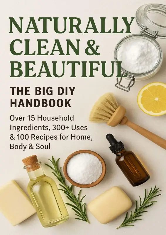 NATURALLY CLEAN & BEAUTIFUL : The Big DIY Handbook - Over 15 Household Ingredients, 300+ Uses & 100 Recipes for Home, Body & Soul