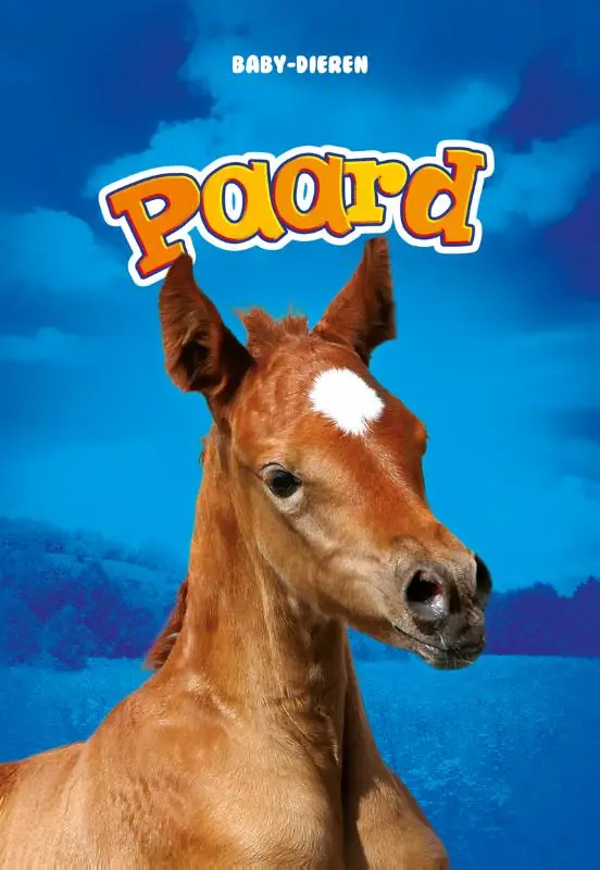 Paard