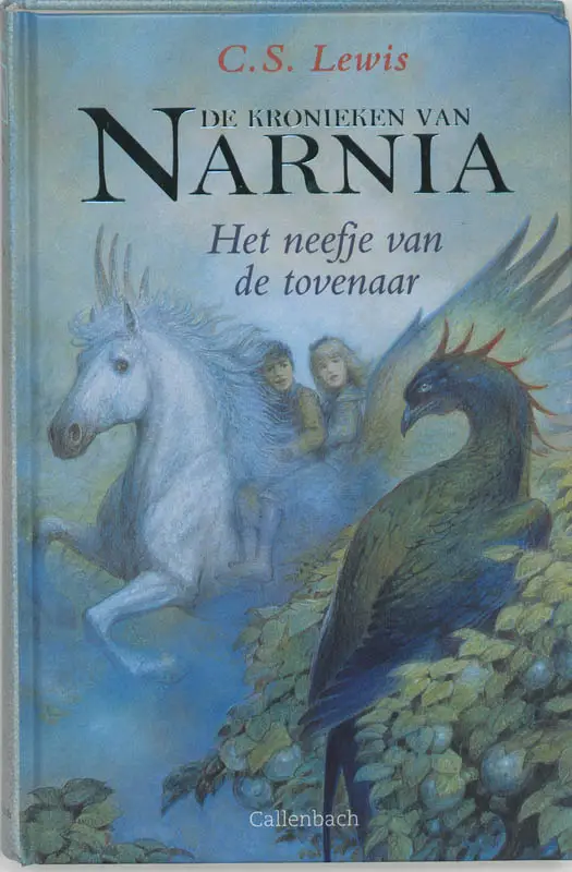 Neefje van de tovenaar
