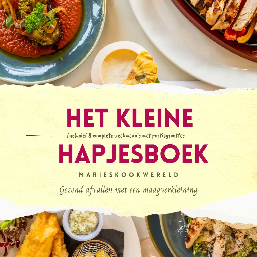 Het kleine hapjesboek na je maagverkleining