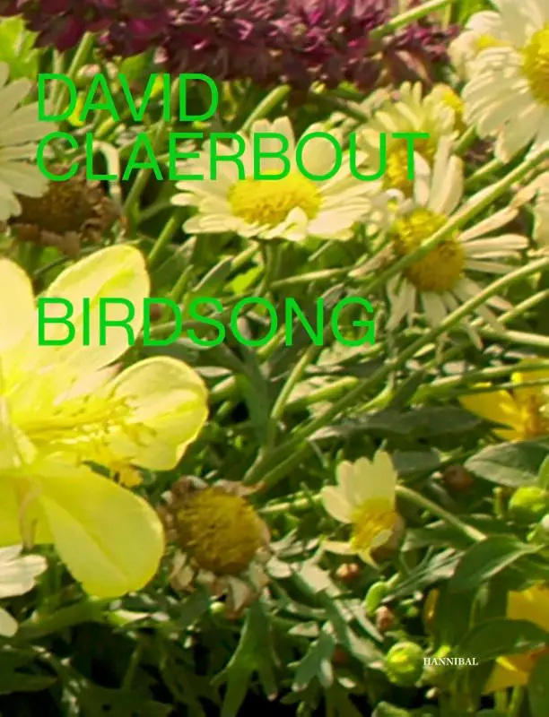 David Claerbout - Birdsong