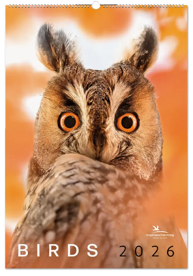 Birds posterkalender 2026, Vogelbescherming