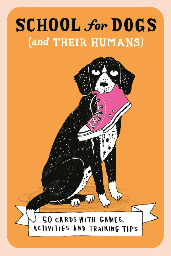 School For Dogs (and their humans)