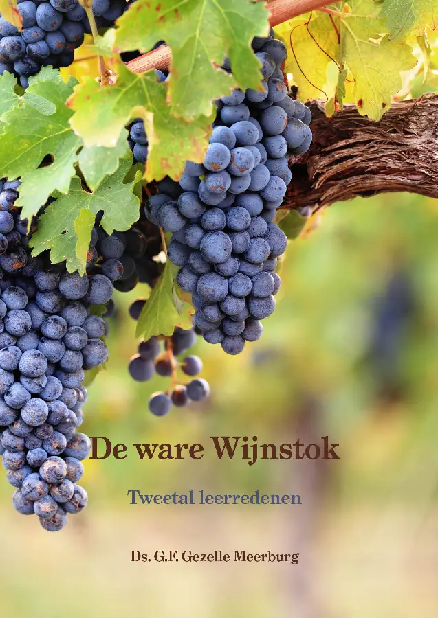 Ware wijnstok
