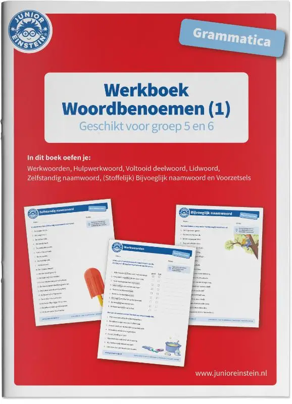 Geschikt voor groep 5 en 6 / Grammatica Woordbenoemen (1) / Werkboek
