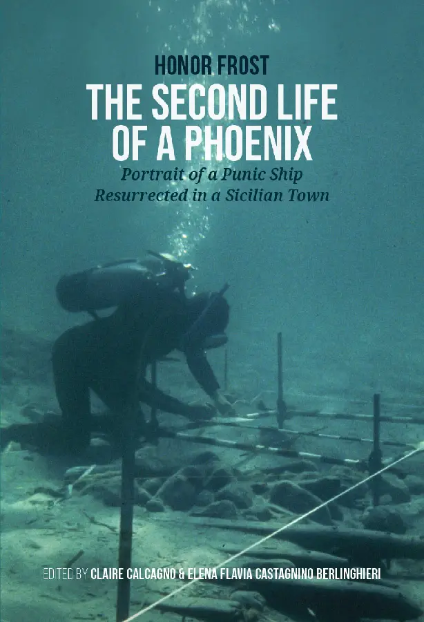 The Second Life of a Phoenix