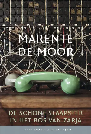 De schone slaapster in het bos van Zarja (set van 10)