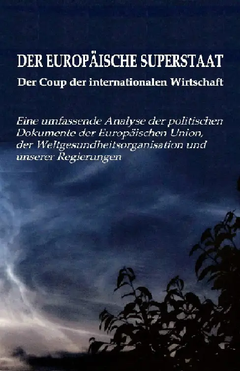 Der Europäische Superstaat - Der Coup der internationalen Wirtschaft