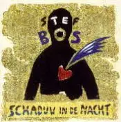 STEF BOS*SCHADUW IN DE NACHT (CD)