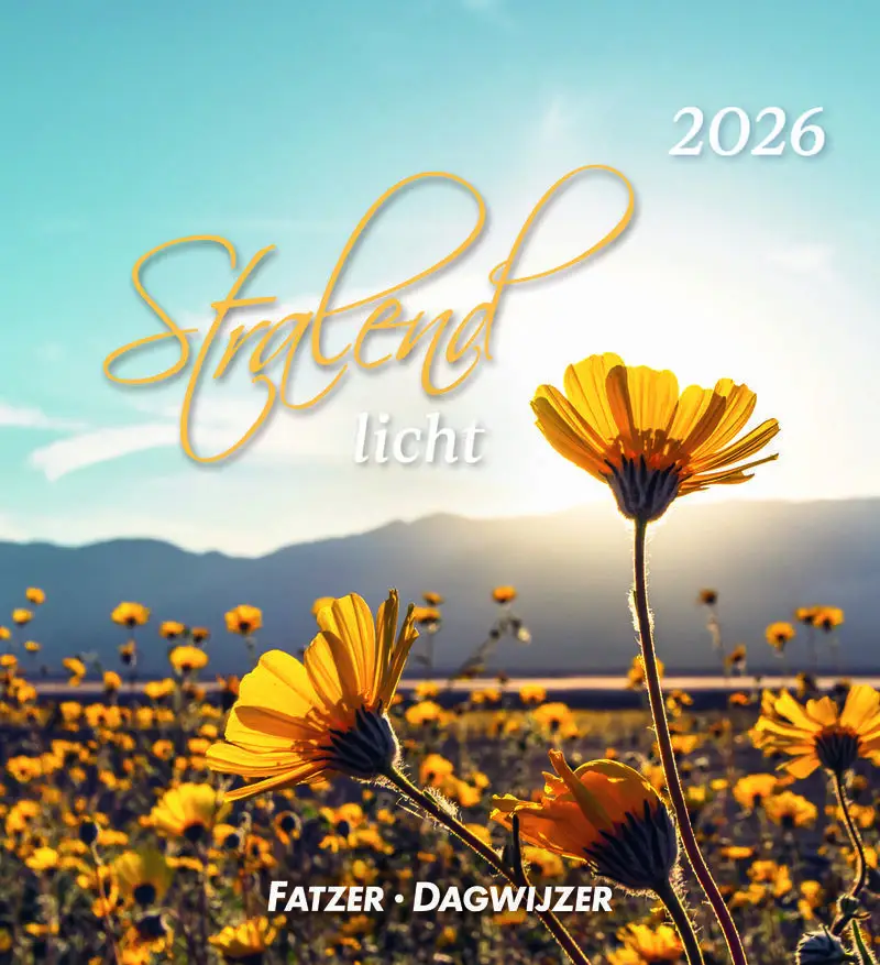 Kalender 2026 hsv stralend licht