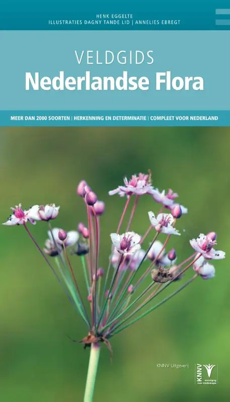 Veldgids nederlandse flora