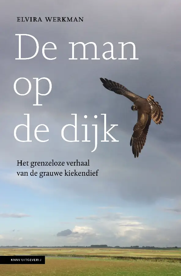 De man op de dijk