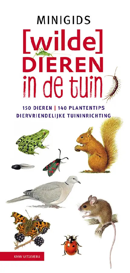 [Wilde] dieren in de tuin set 3 ex