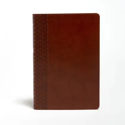 KJV - Everyday Study Bibl