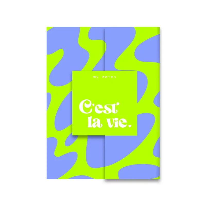 My notes - C'est la vie.