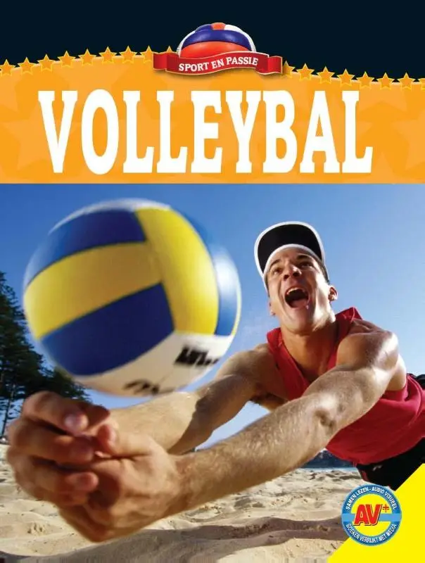 Volleybal