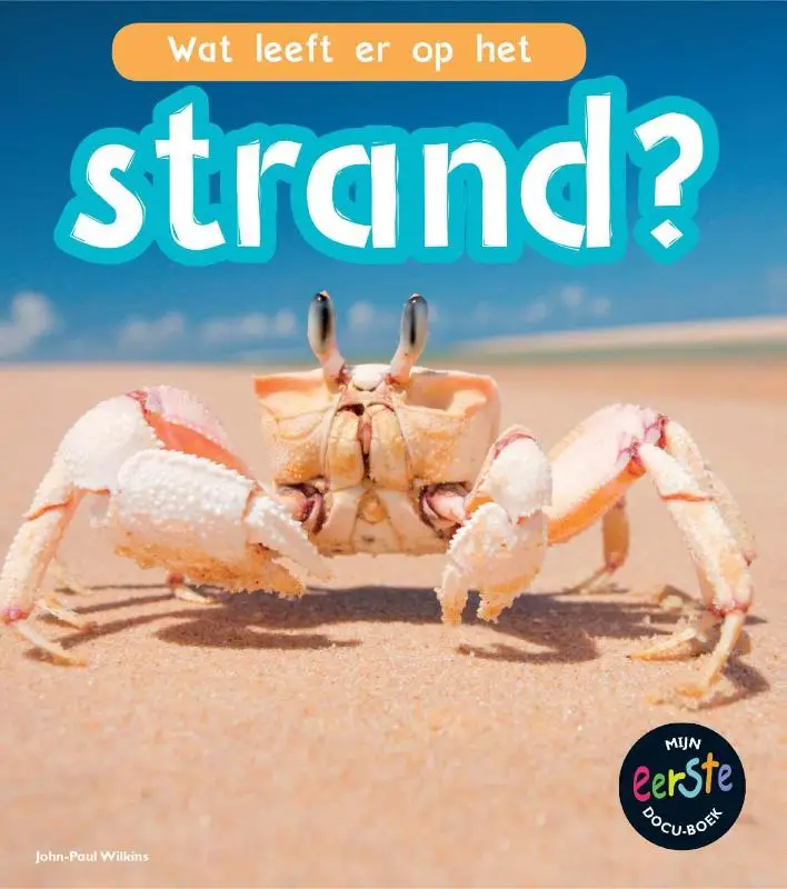 Wat leeft er op het strand?