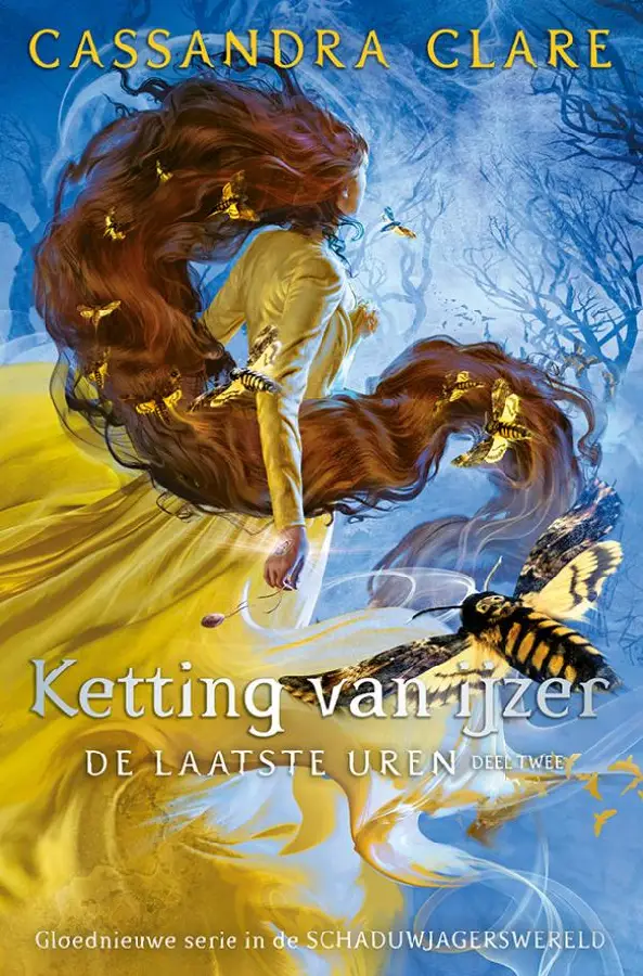 Ketting van ijzer