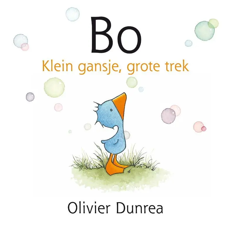 Bo kartonboek