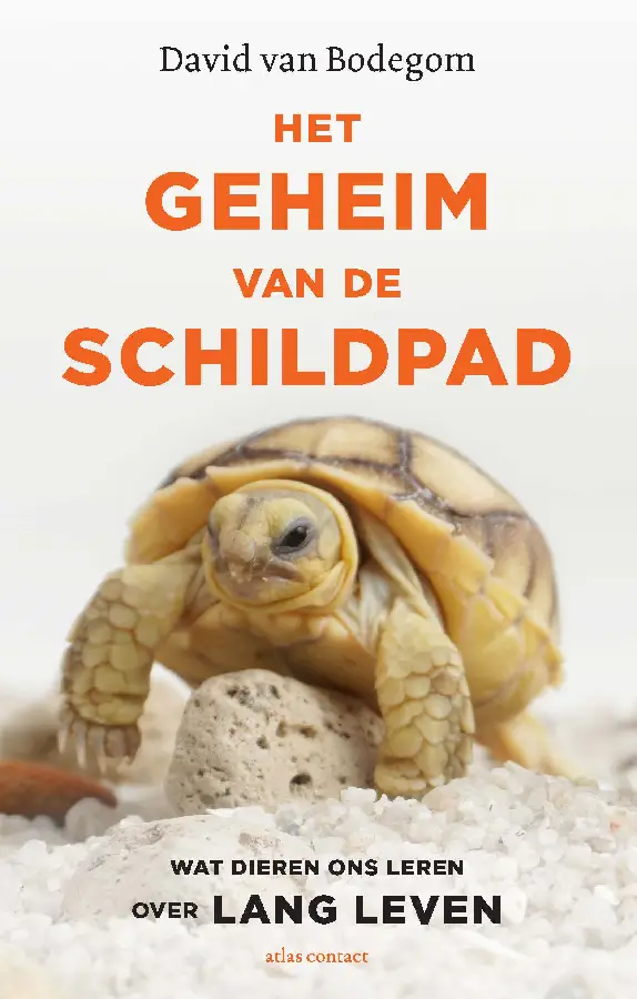 Het geheim van de schildpad