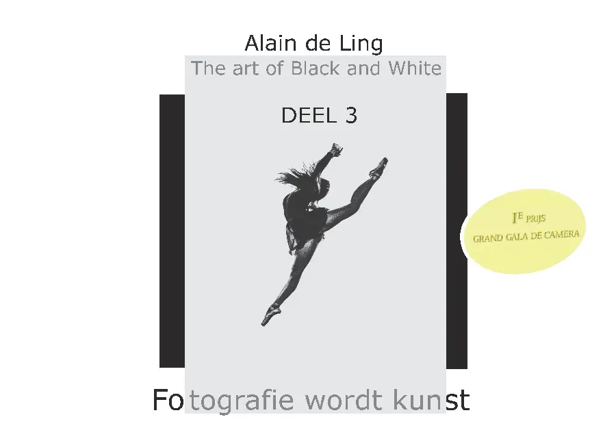 The Art of Black and White / 3