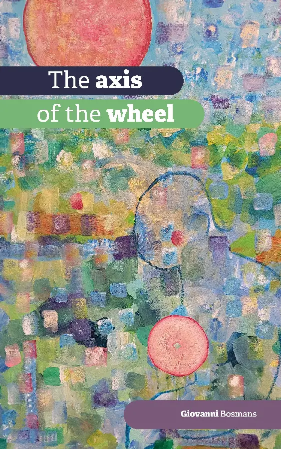 The axis of the wheel