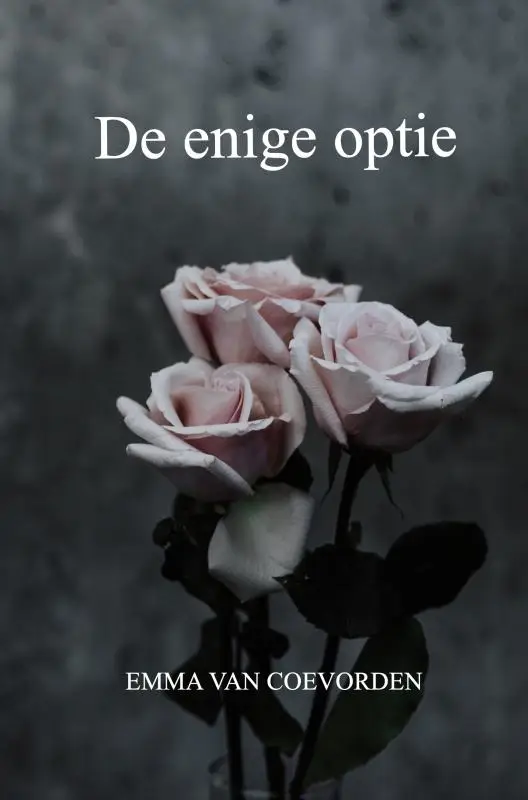 de enige optie