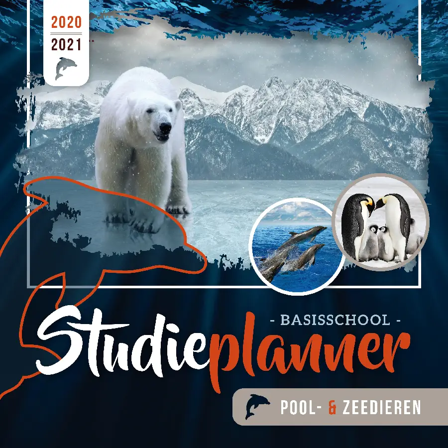 Basisschool studieplanner Pool- en Zeedieren 2020-2021